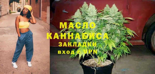 винт Каменка