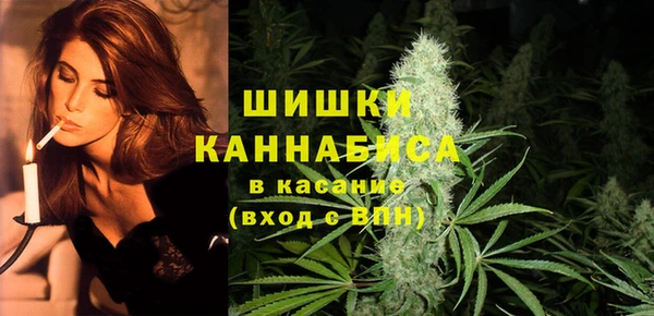 ECSTASY Инсар