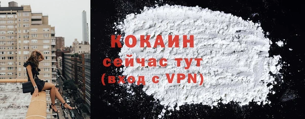 ECSTASY Инсар