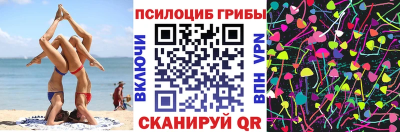 Купить где Елизово Галлюциногенные грибы Psilocybine cubensis